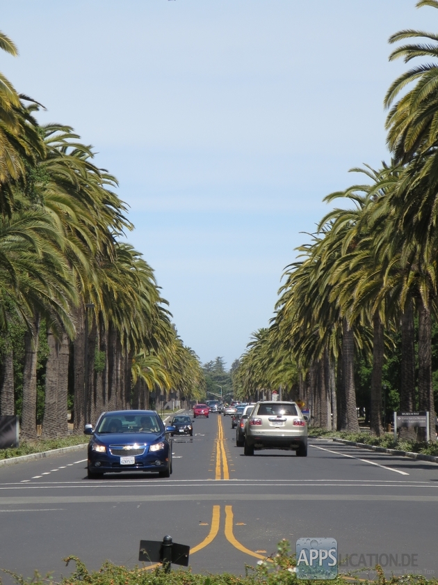 stanford_university_03
