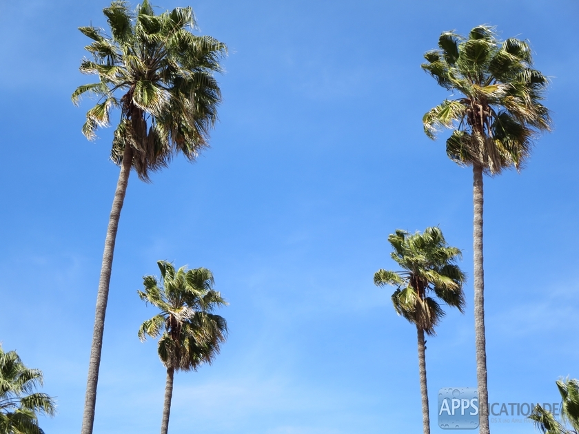 stanford_university_18